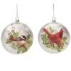 Glass 5.5in Multicolored Christmas Silky Bird Ornament Set Of 2 Home