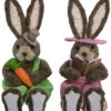 Set Of 2 Sisal Sitting Bright Bunnies Home