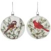 Glass 5.5in Multicolored Christmas Painted Winter Bird Ornament Set Of 2 Home