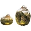 Glass 10.5In Multicolored Harvest Light Up Pumpkins Set Of 2 Home