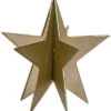 Metal Gold Celebration Dimensional Star Home