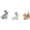 Very Merry Set Of 3 Santa Hat Kitten Figurines Home